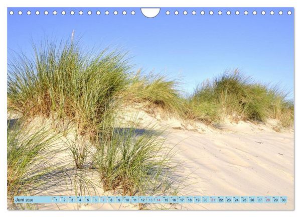 Produktbild: Die Ostsee (Wandkalender 2026 DIN A4 quer), CALVENDO Monatskalender