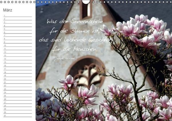 Produktbild: Befl&uuml;gelt (Wandkalender immerw&auml;hrend DIN A3 quer)