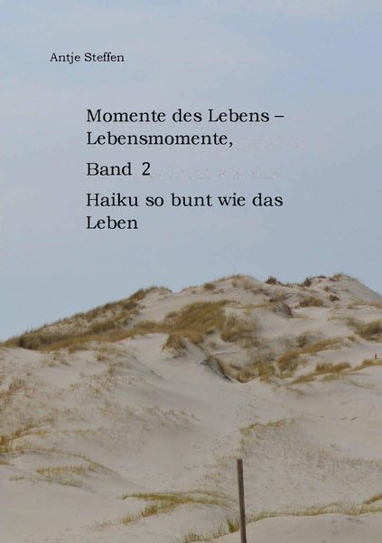 Produktbild: Momente des Lebens - Lebensmomente Band 2