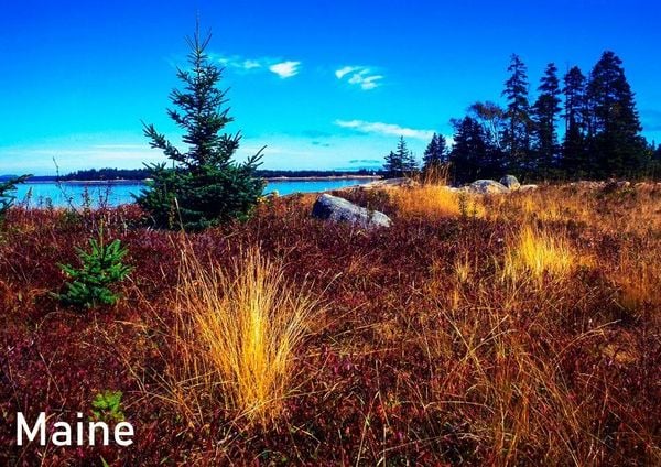 Produktbild: Maine