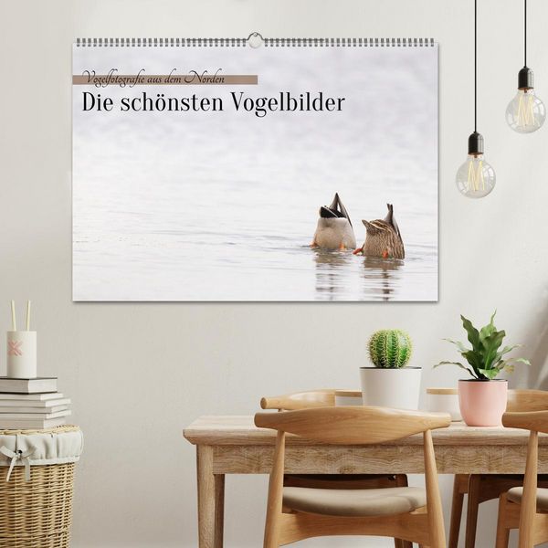 Produktbild: Vogelfotografie aus dem Norden (Wandkalender 2027 DIN A2 quer), CALVENDO Monatskalender