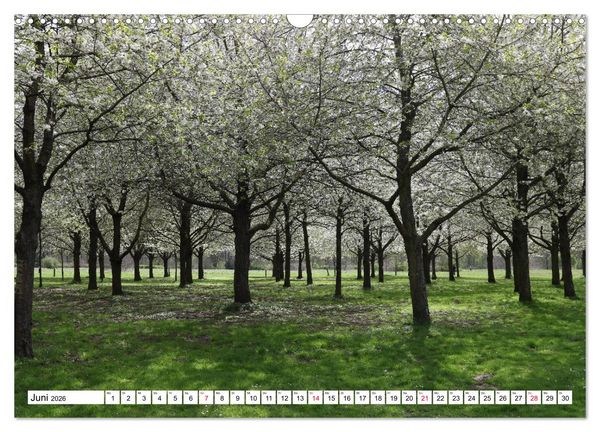 Produktbild: HANNOVER entdecken (Wandkalender 2026 DIN A3 quer), CALVENDO Monatskalender