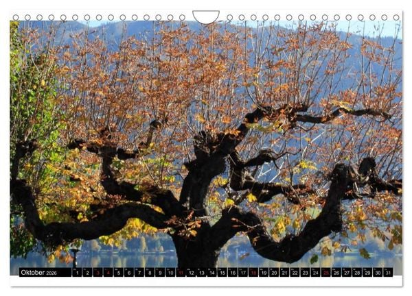 Produktbild: Liebeserkl&auml;rung an Zell am See (Wandkalender 2026 DIN A4 quer), CALVENDO Monatskalender