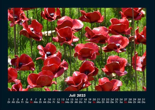 Produktbild: Blumenzauber 2025 Fotokalender DIN A4