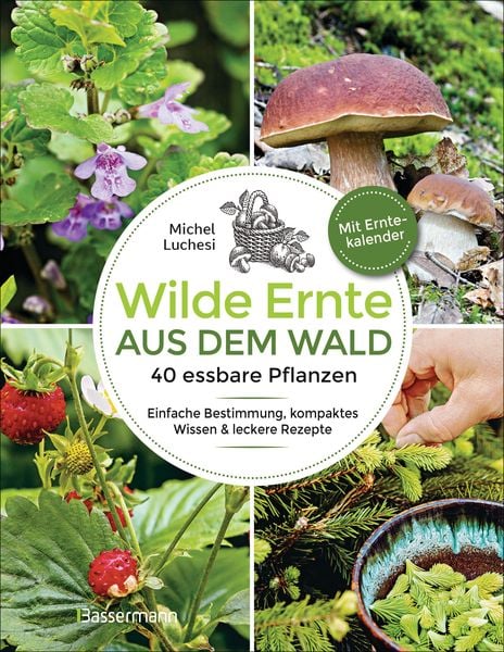 Produktbild: Wilde Ernte aus dem Wald - 40 essbare Pflanzen - einfache Bestimmung, kompaktes Wissen und leckere Rezepte
