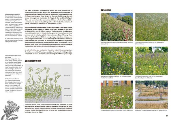 Produktbild: Praxishandbuch Stadtnatur