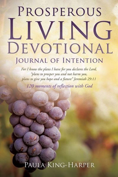 Produktbild: Prosperous Living Devotional
