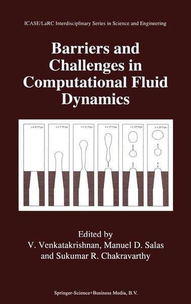 Produktbild: Barriers and Challenges in Computational Fluid Dynamics