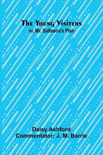Produktbild: The Young Visiters or, Mr. Salteena's Plan