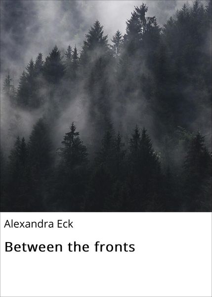 Produktbild: Between the fronts