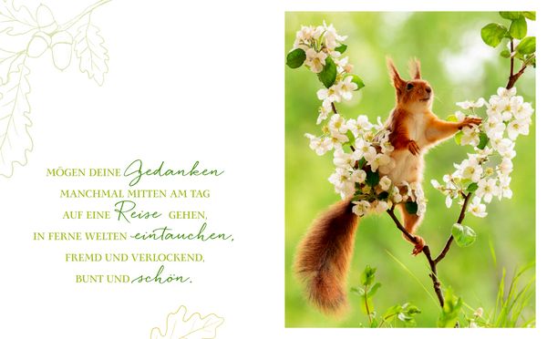 Produktbild: Das Gl&uuml;ck aller Kleebl&auml;tter sei mit dir
