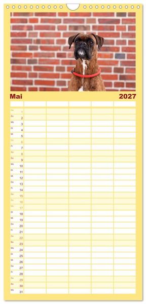 Produktbild: Familienplaner 2027 - Deutscher Boxer 2027 mit 5 Spalten (Wandkalender, 21 x 45 cm) CALVENDO