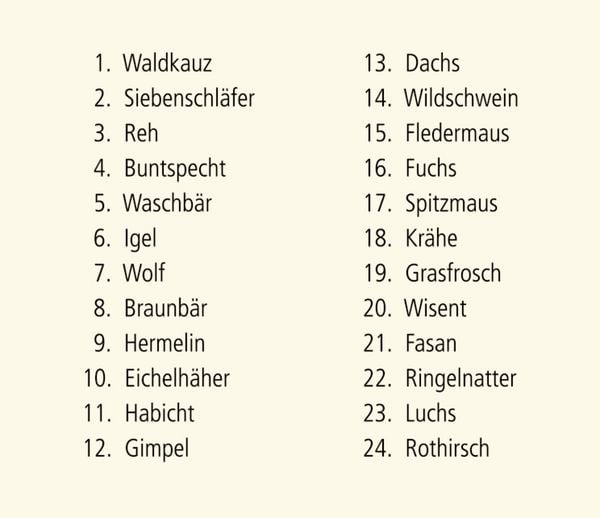 Produktbild: Sound-Adventskalender &ndash; H&ouml;rt ihr die Tiere im Winterwald?