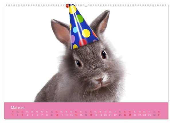 Produktbild: S&uuml;&szlig;e Tier-Babys! (hochwertiger Premium Wandkalender 2026 DIN A2 quer), Kunstdruck in Hochglanz