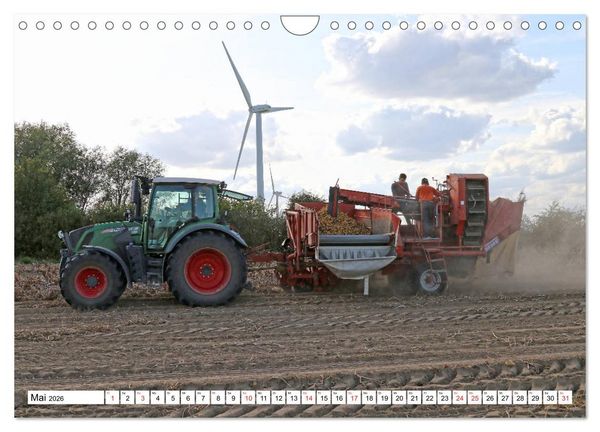 Produktbild: Kartoffel-Ernte - hautnah erleben (Wandkalender 2026 DIN A4 quer), CALVENDO Monatskalender