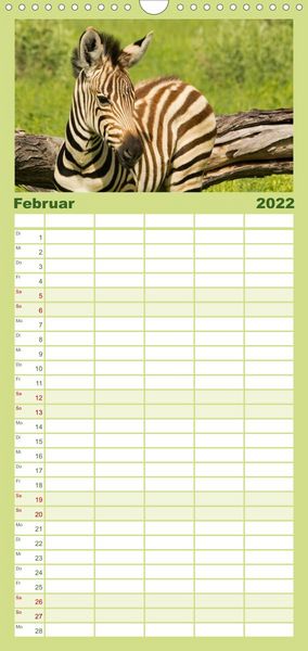 Produktbild: Familienplaner Zebras - Faszination der Wildnis (Wandkalender 2022 , 21 cm x 45 cm, hoch)