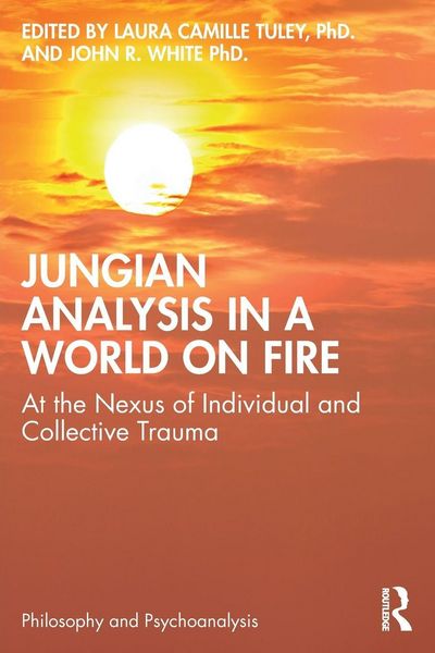 Produktbild: Jungian Analysis in a World on Fire