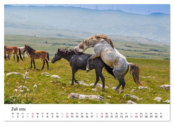 Produktbild: Wildpferde am Kruzi Plateau (Tischkalender 2026 DIN A5 quer), CALVENDO Monatskalender