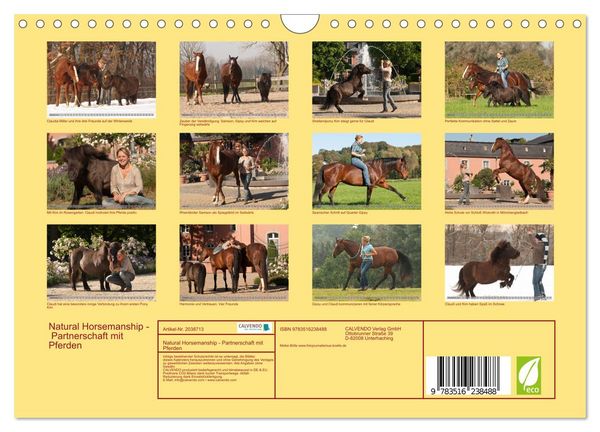 Produktbild: Natural Horsemanship - Partnerschaft mit Pferden (Wandkalender 2026 DIN A4 quer), CALVENDO Monatskalender