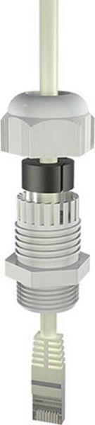 Produktbild: Bopla 12002404 Kabelverschraubung M25 Polyamid Lichtgrau (RAL 7035) 1St.