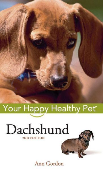 Produktbild: Dachshund