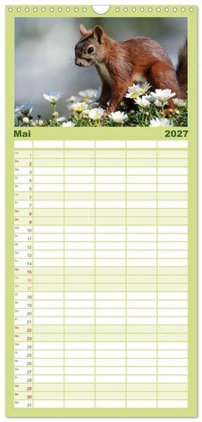 Produktbild: Familienplaner 2027 - Eichh&ouml;rnchen Momentaufnahmen f&uuml;rs Herz mit 5 Spalten (Wandkalender, 21 x 45 cm) CALVENDO