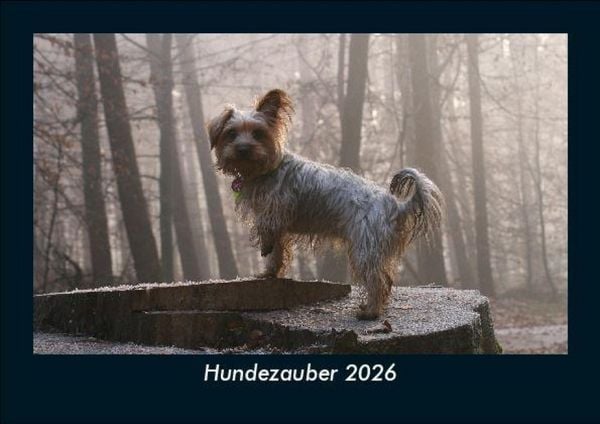 Produktbild: Hundezauber 2026 Fotokalender DIN A5