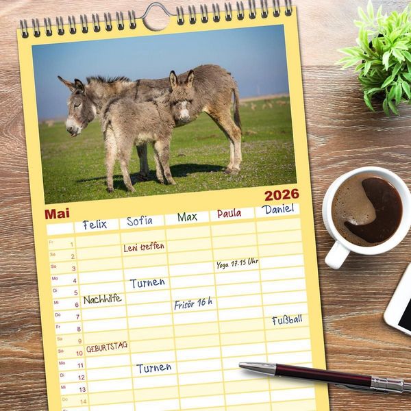 Produktbild: Familienplaner 2026 - Esel - h&uuml;bsch, klug und flei&szlig;ig mit 5 Spalten (Wandkalender, 21 x 45 cm) CALVENDO