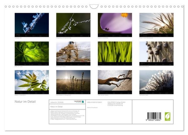 Produktbild: Natur im Detail (Wandkalender 2026 DIN A3 quer), CALVENDO Monatskalender