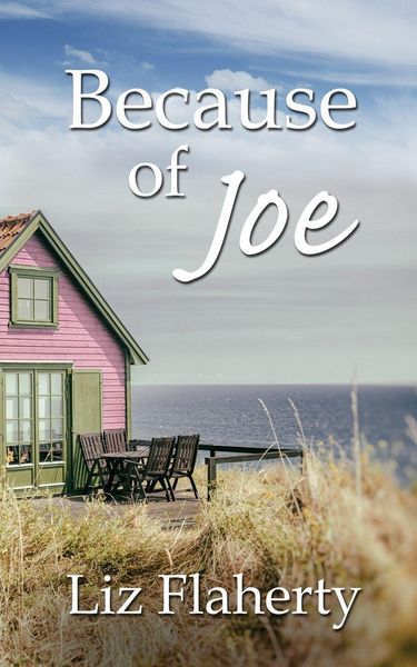 Produktbild: Because of Joe