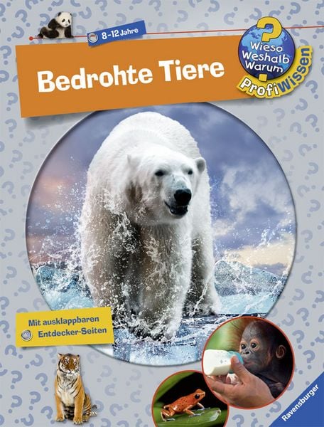 Produktbild: Kienle, D: Bedrohte Tiere
