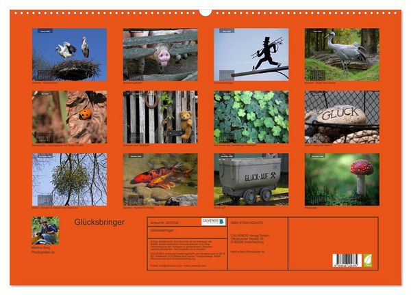Produktbild: Gl&uuml;cksbringer (Wandkalender 2026 DIN A2 quer), CALVENDO Monatskalender
