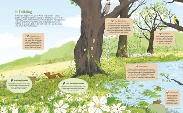 Produktbild: Matti und das Leben im Wald - Ein Marder zeigt dir sein Zuhause