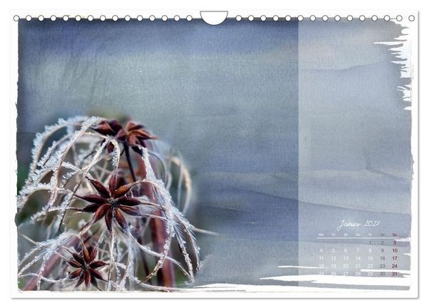 Produktbild: Natur und Farbe Fotografie trifft Aquarell (Wandkalender 2027 DIN A4 quer), CALVENDO Monatskalender