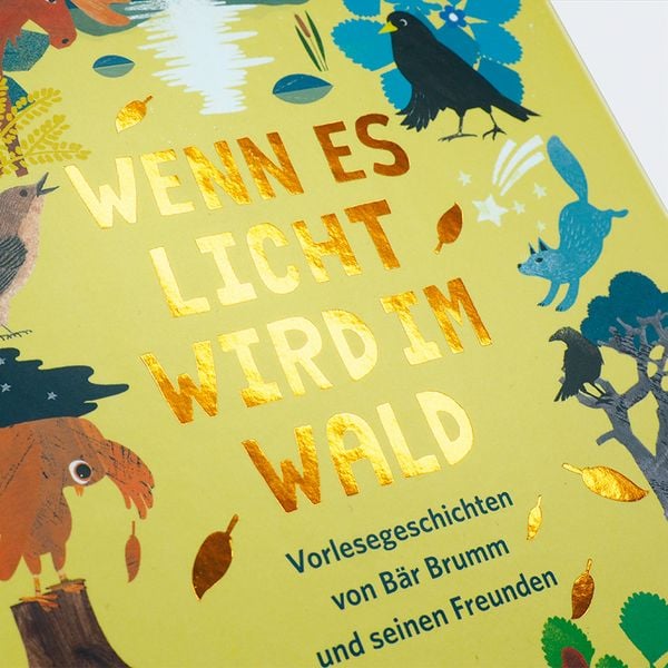Produktbild: Wenn es Licht wird im Wald