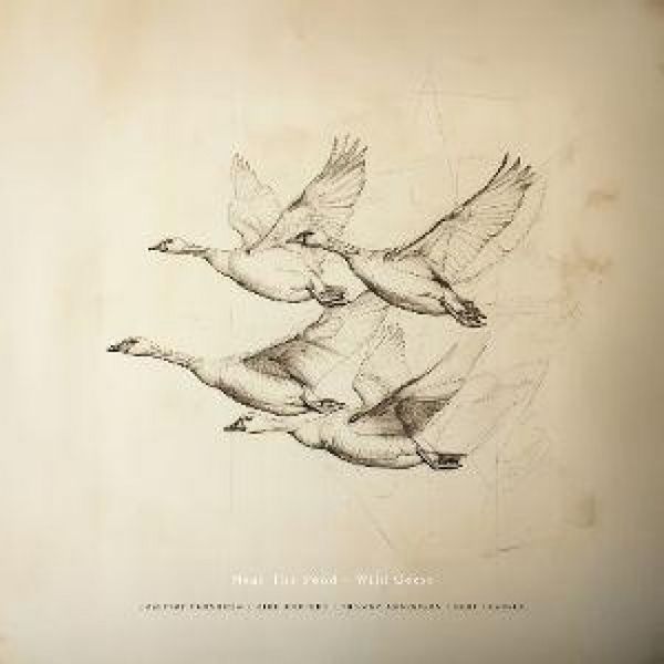 Produktbild: Wild Geese