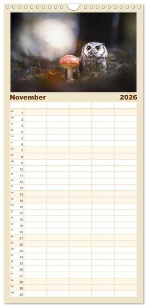 Produktbild: Familienplaner 2026 - Eulen - sch&ouml;n und geheimnisvoll mit 5 Spalten (Wandkalender, 21 x 45 cm) CALVENDO