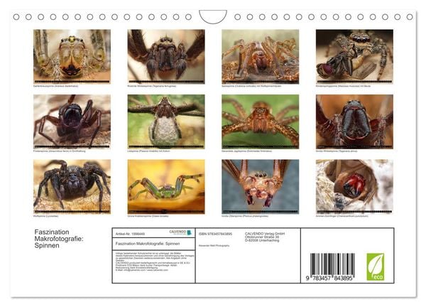 Produktbild: Faszination Makrofotografie: Spinnen (Wandkalender 2026 DIN A4 quer), CALVENDO Monatskalender