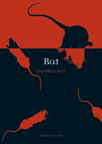 Produktbild: Rat