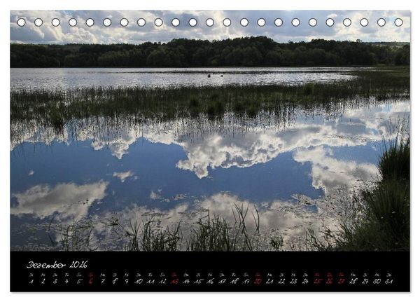 Produktbild: Broc&eacute;liande / Zauberwald der Bretagne (Tischkalender 2026 DIN A5 quer), CALVENDO Monatskalender