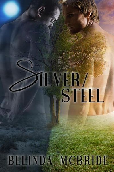 Produktbild: Silver/Steel (Arcada, #2)
