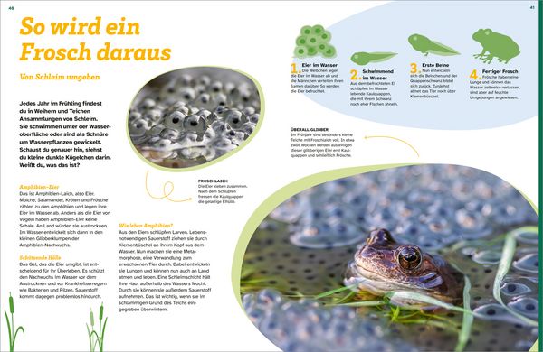 Produktbild: WAS IST WAS Schleim. Eklig? Nein, genial!