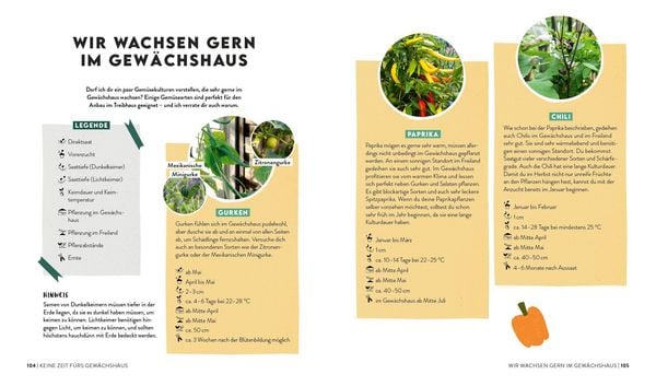 Produktbild: Keine Zeit zu g&auml;rtnern &ndash;&nbsp;Gem&uuml;se l&auml;nger ernten in Gew&auml;chshaus, Fr&uuml;hbeet & Co.