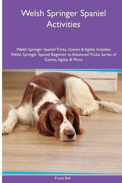 Produktbild: Welsh Springer Spaniel Activities Welsh Springer Spaniel Tricks, Games & Agility. Includes