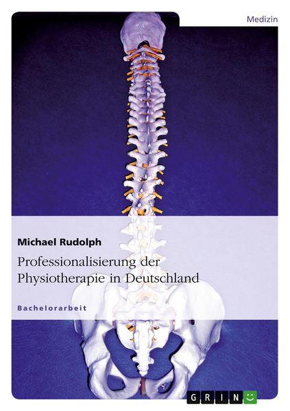 Produktbild: Professionalisierung der Physiotherapie in Deutschland
