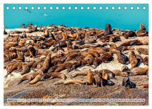 Produktbild: Westkap S&uuml;dafrika (Tischkalender 2026 DIN A5 quer), CALVENDO Monatskalender