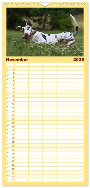 Produktbild: Familienplaner 2026 - Deutsche Dogge mit 5 Spalten (Wandkalender, 21 x 45 cm) CALVENDO
