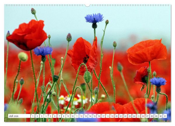 Produktbild: Mein buntes Mecklenburg (hochwertiger Premium Wandkalender 2026 DIN A2 quer), Kunstdruck in Hochglanz