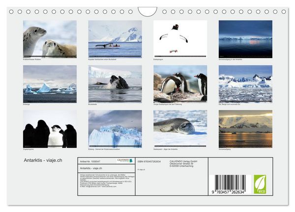 Produktbild: Antarktis - viaje.ch (Wandkalender 2026 DIN A4 quer), CALVENDO Monatskalender