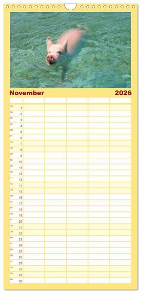 Produktbild: Familienplaner 2026 - Schweine im Dauerurlaub auf den Bahamas! mit 5 Spalten (Wandkalender, 21 x 45 cm) CALVENDO